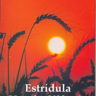 Estridula Voz do Silêncio