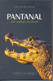 Pantanal ok