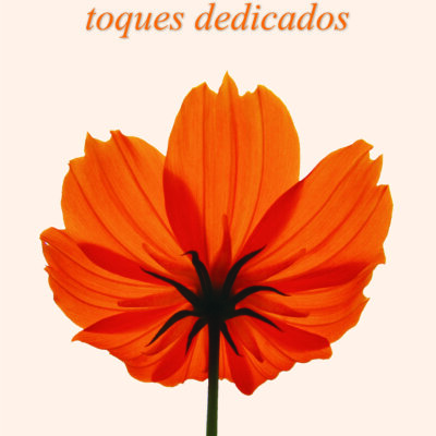 Toques Dedicados