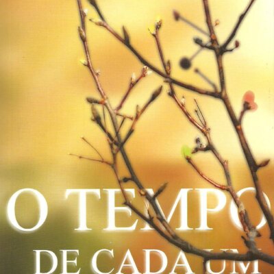 O Tempo de Cada Um