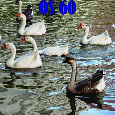Vivendo após os 60